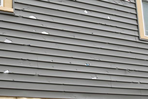 Best James Hardie Siding  in Soledad, CA